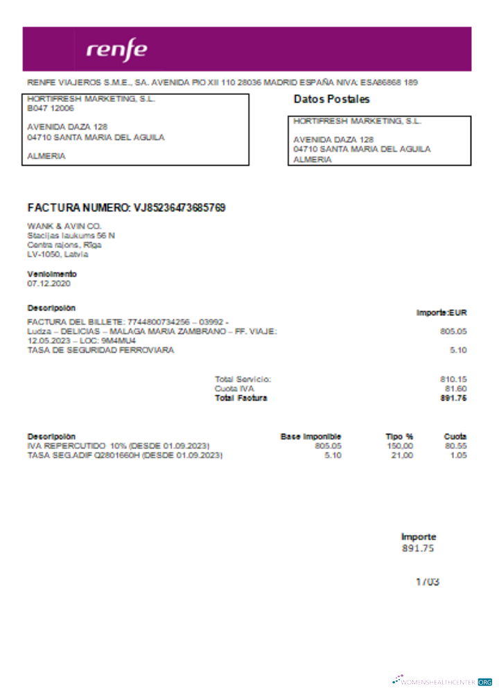 Download Renfe utility business bill, SCR Photoshop template